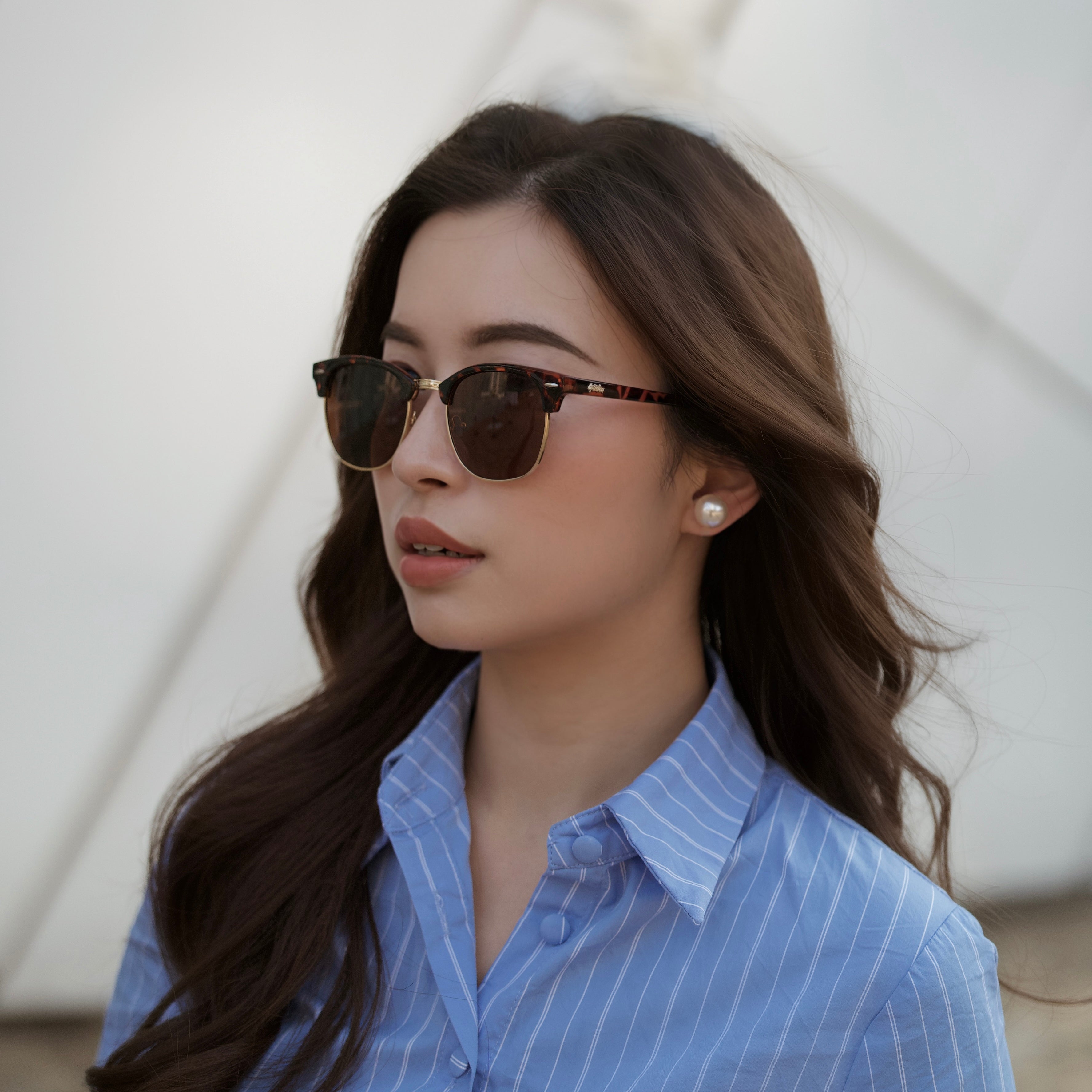 ARDEN (TORTOISE)