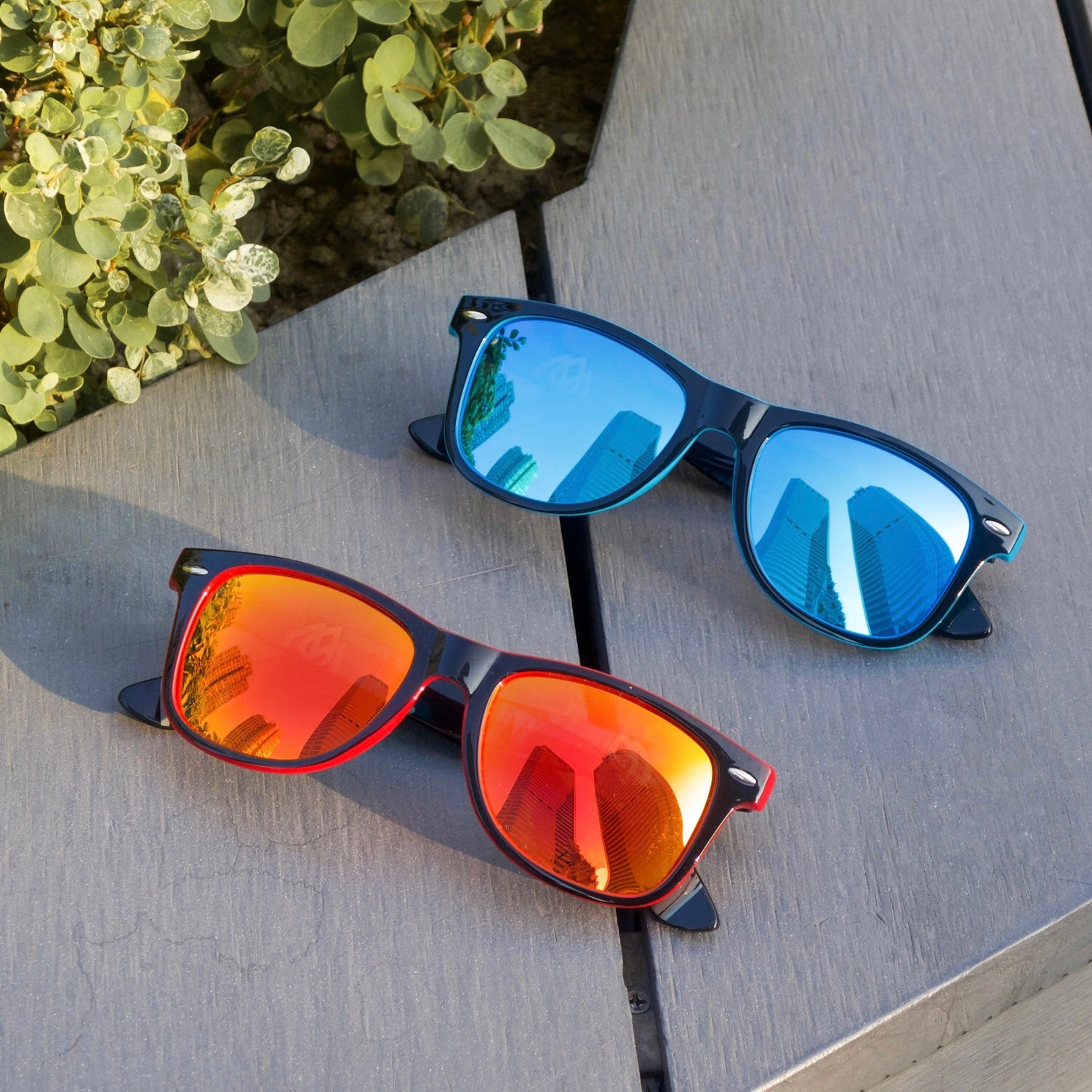 sunglasses