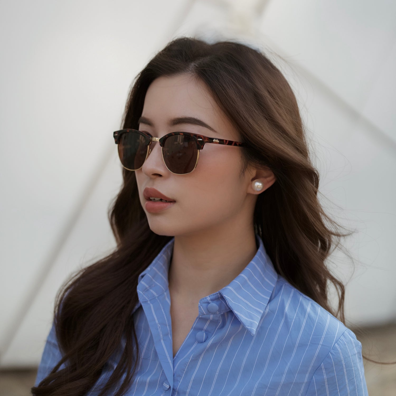 ARDEN (TORTOISE)